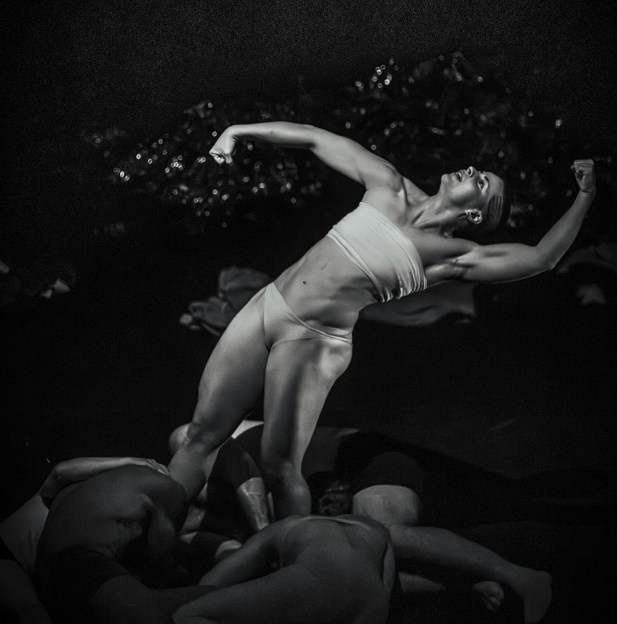 LAVA Valladolid Entrecruzados