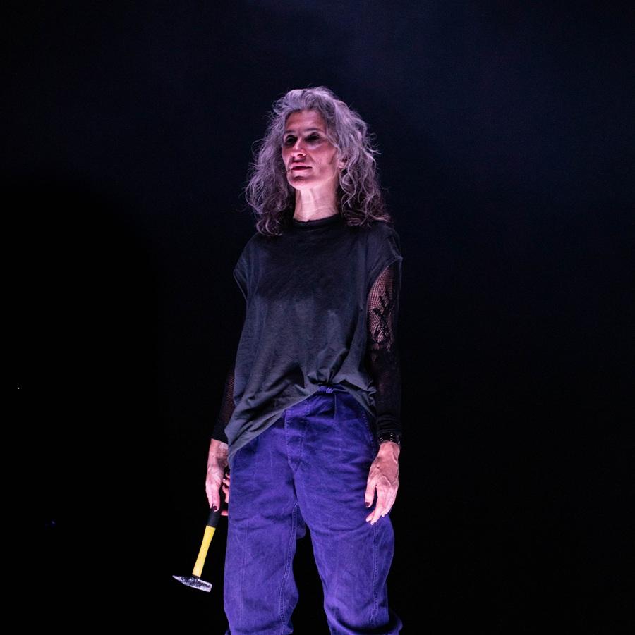 Teoría King Kong Lava Valladolid